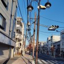 맥주장이와 함께 떠나는 여행 | [Tour] #135.마이리얼트립 어린이 도슨트 후기-#56.일본국립과학박물관/ 12월 주말 우에노 구경