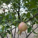 강동우정신건강의학과의원 이미지