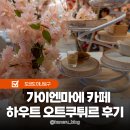 A프로카써비스 | 도쿄 시부야 메이지신궁 인스타카페 추천 하우트 오트쿠튀르 브런치 후기