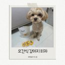 오간식 | [제품리뷰] 애견 간식으로 추천하는 오간식 펫푸드 강아지 피자 급여 후기