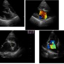 24시프라임동물병원 이미지