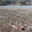 만리농장 이미지