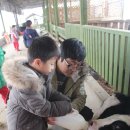 은하목장 이미지