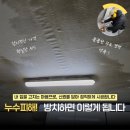 영일중학교 | 7시간 만에 잡은 누수, 피해세대 온집안이 오염 — 수원 영통 배관 누수 탐지 현장