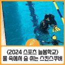 석포초등학교 정문 앞 | 2024 스포츠 늘봄학교 방학캠프 프로그램 - 물속에서 숨 쉬는 &lt;스킨스쿠버&gt;
