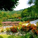 보석랜드 이미지