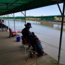 화성대어낚시터 이미지