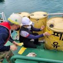 동해-단속-18 이미지