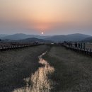 순천만 갈대밭 이미지