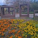 부천자연생태공원 이미지