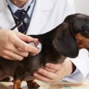 정서동물병원 이미지