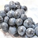 녹수농장 이미지