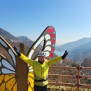용관길 Daum카페