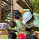 다송어린이집 이미지