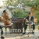 LAYERS CLASSIC/ AUTUMN LEAVES 이미지