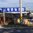 진도개영농조합 이미지