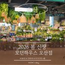 랄라하우스 | [오산] 주말 나들이로 다녀온 모던하우스 오산점, 주방용품부터 침구까지 봄꽃 가득 후기 🌸