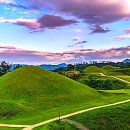 (주)피디엠