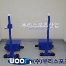 안중 체육관 이미지