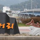 홍어사랑 이미지
