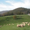 설화목장 이미지