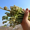 밤산농원 이미지