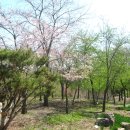 성곡초등학교4 이미지