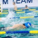 에이치투오 어린이수영장 | [학원 셔틀 정보] 에이치투오 어린이수영장