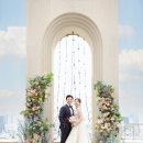 플레타플레르