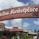 훌라댄스 이미지