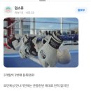 모던복싱클럽 향동 이미지