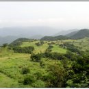 그린목장 이미지