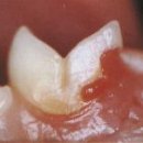 다올동물병원 이미지