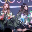 하니와 스타데일리뉴스 