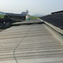 대행목장 1 이미지