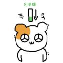 빌라마래 이미지