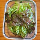 소판돈 네이버블로그