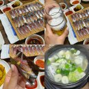 광양초등학교 | 제주공항 근처 고등어회 맛집 원담 주차 포장 도민 추천 횟집