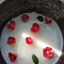 (주)마켓장보고 네이버블로그