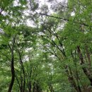 문경새재관리사무소 이미지