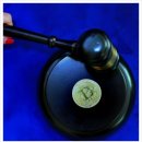 디케이트레이딩 이미지