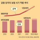 [단독] 병원과 짜고 다른 시술 뒤 “여성형 유방 수술” 보험금 청구 이미지