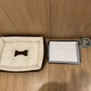 완산-160 | 전주 한옥마을 애견동반 숙소 찾는다면? 가루와 다녀온 호텔 다빈 후기 🐶