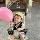 탄소제로교육관 에코정글랜드 네이버블로그