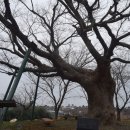 적서리 마을회관 이미지