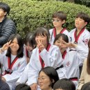 호동태권도 이미지