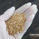 현미농장 이미지