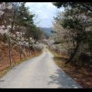 인삼전시관 이미지