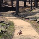 계룡숲작은도서관 이미지