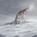 25.5月 기록